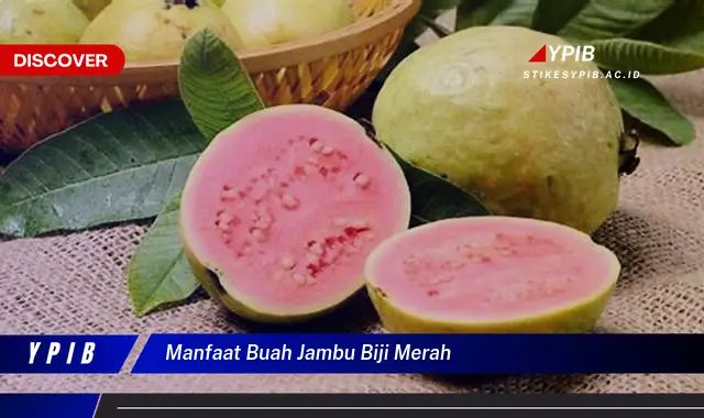 manfaat buah jambu biji merah