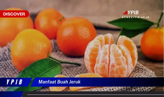 manfaat buah jeruk
