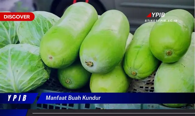 manfaat buah kundur