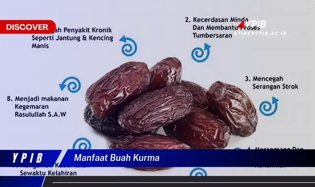 manfaat buah kurma