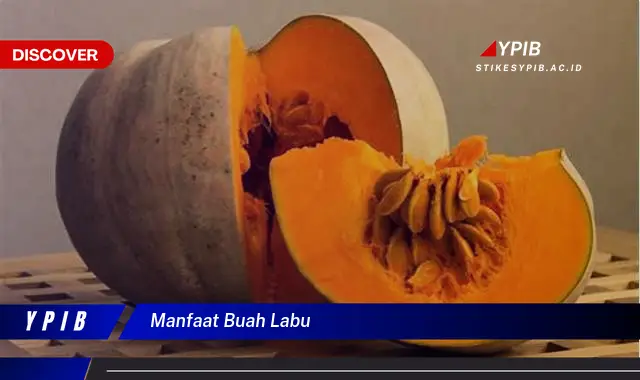 manfaat buah labu