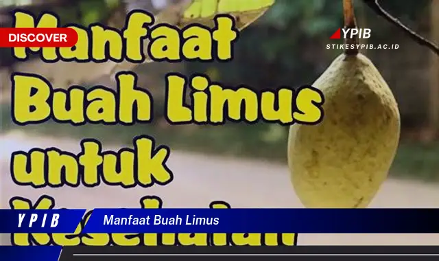 manfaat buah limus