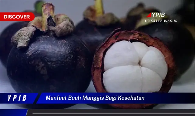 manfaat buah manggis bagi kesehatan