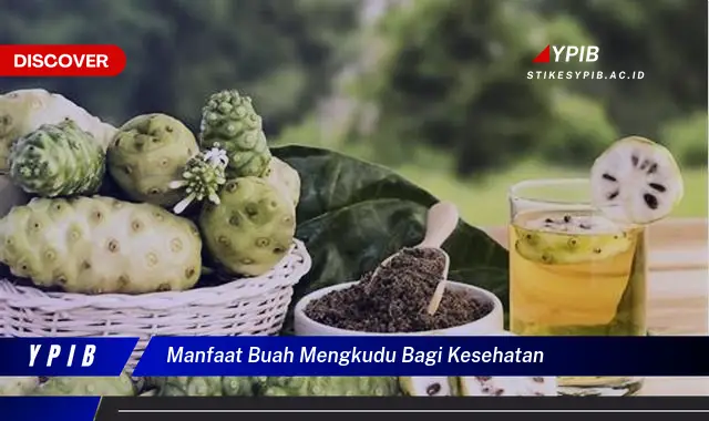manfaat buah mengkudu bagi kesehatan