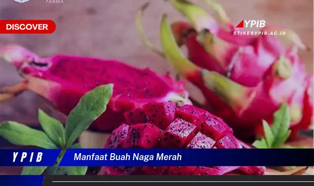 manfaat buah naga merah