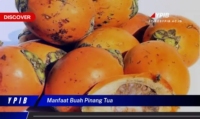 manfaat buah pinang tua