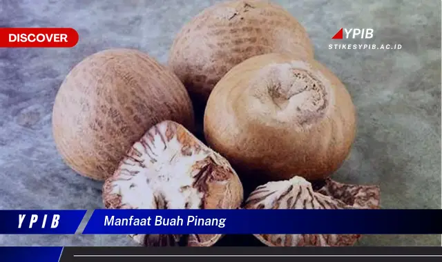 manfaat buah pinang