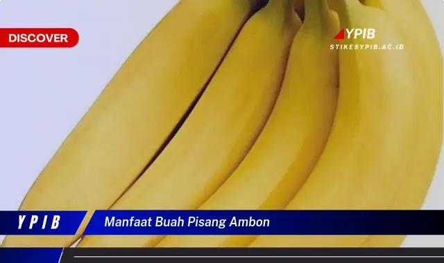 manfaat buah pisang ambon