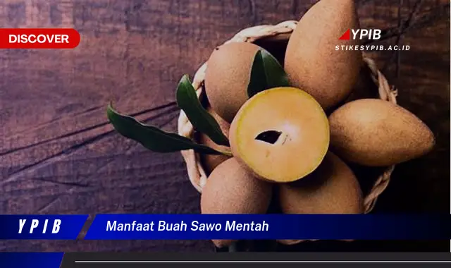 manfaat buah sawo mentah