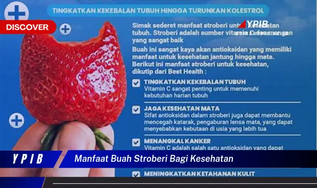 manfaat buah stroberi bagi kesehatan