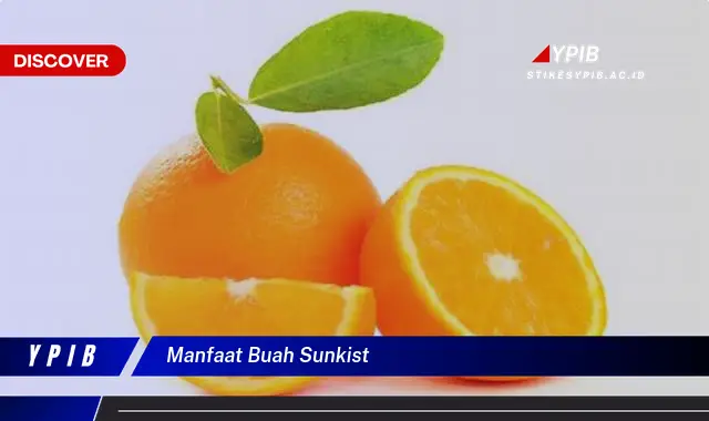 manfaat buah sunkist