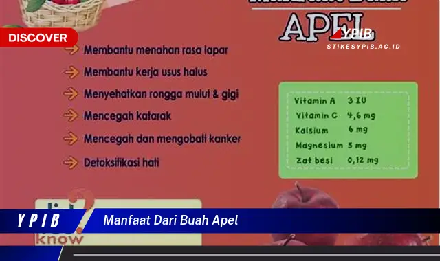 manfaat dari buah apel