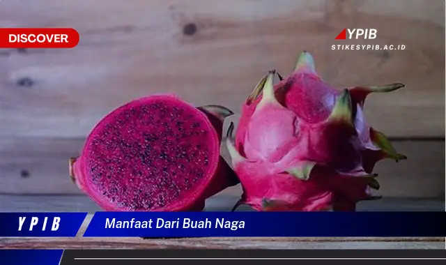 manfaat dari buah naga