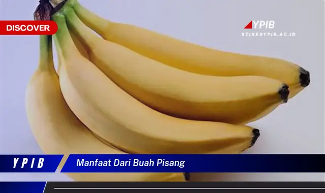 manfaat dari buah pisang