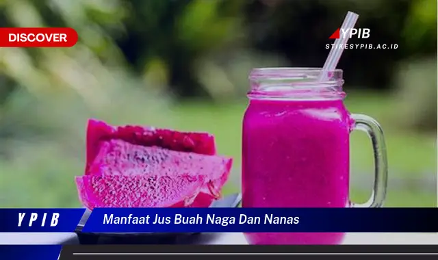 manfaat jus buah naga dan nanas