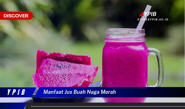 manfaat jus buah naga merah