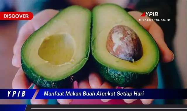 manfaat makan buah alpukat setiap hari