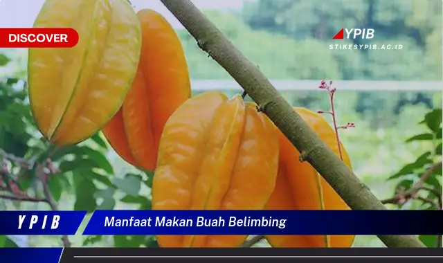 manfaat makan buah belimbing