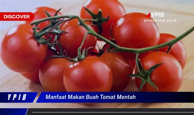 manfaat makan buah tomat mentah