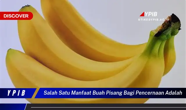 salah satu manfaat buah pisang bagi pencernaan adalah