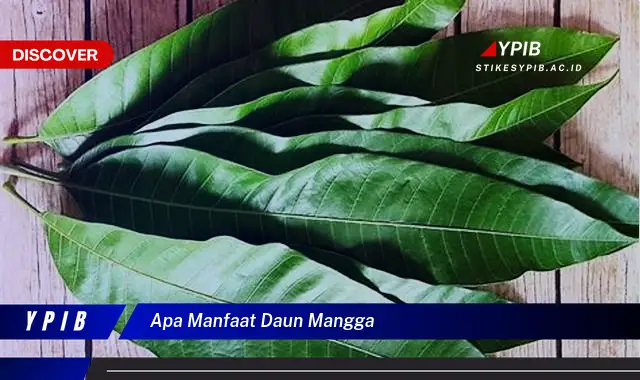 Ketahui 9 Manfaat Daun Mangga untuk Kesehatan Tubuh Anda