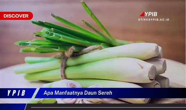 Ketahui 9 Manfaat Daun Sereh untuk Kesehatan Tubuh Anda