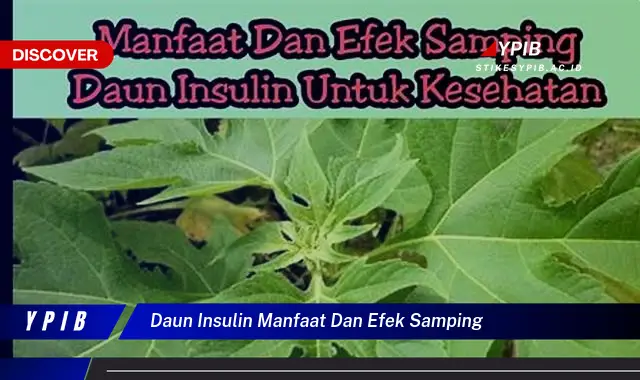 Ketahui 10 Manfaat Daun Insulin untuk Kesehatan, Efek Samping dan Cara Penggunaannya yang Aman