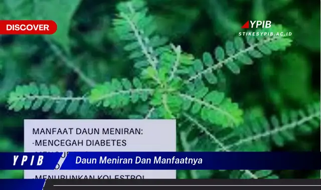 Ketahui 10 Manfaat Daun Meniran untuk Kesehatan Tubuh Anda