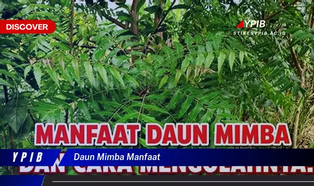 Ketahui 10 Manfaat Daun Mimba untuk Kesehatan Anda