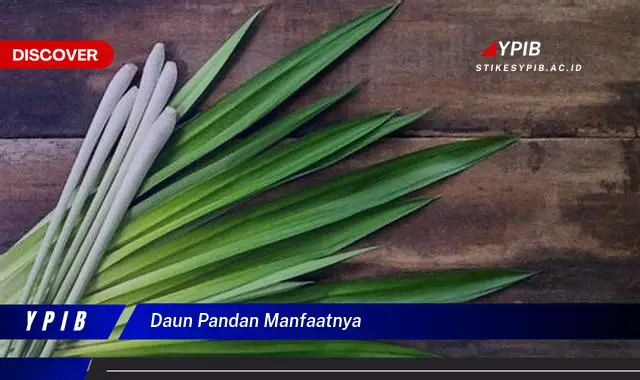 9 Manfaat Ajaib Daun Pandan untuk Kesehatan & Kecantikan