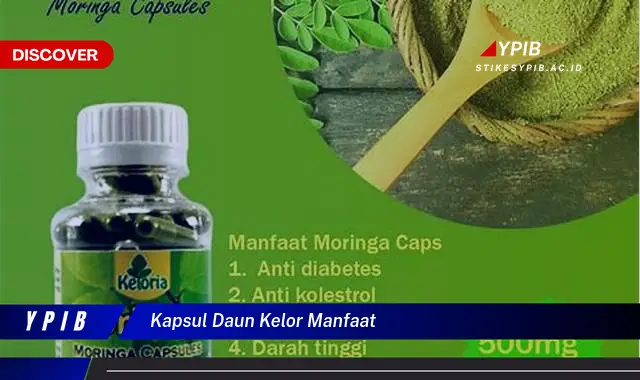 kapsul daun kelor manfaat