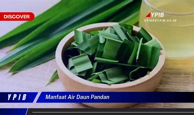 Ketahui 9 Manfaat Air Daun Pandan untuk Kesehatan Tubuh dan Kecantikan