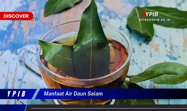 Temukan 7 Manfaat Ajaib Air Daun Salam