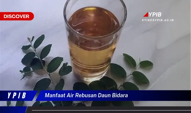 Ketahui 8 Manfaat Air Rebusan Daun Bidara untuk Kesehatan dan Kecantikan