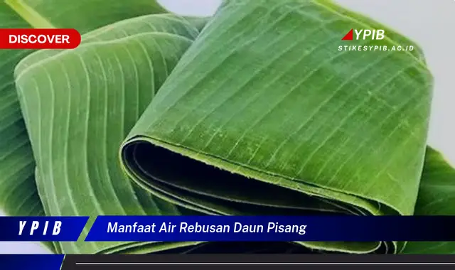 Ketahui 9 Manfaat Air Rebusan Daun Pisang untuk Kesehatan Tubuh Anda