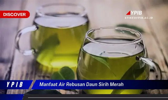 Ketahui 8 Manfaat Air Rebusan Daun Sirih Merah untuk Kesehatan Tubuh Anda