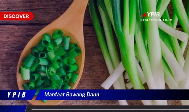 manfaat bawang daun