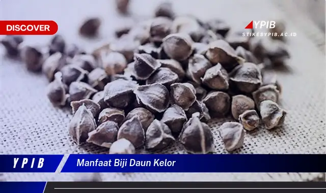 Ketahui 9 Manfaat Biji dan Daun Kelor untuk Kesehatan Tubuh Anda