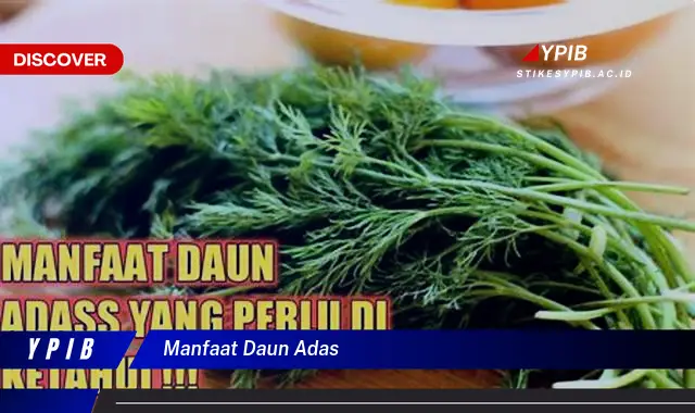 10 Manfaat Daun Adas untuk Kesehatan Anda