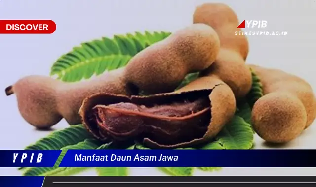 manfaat daun asam jawa