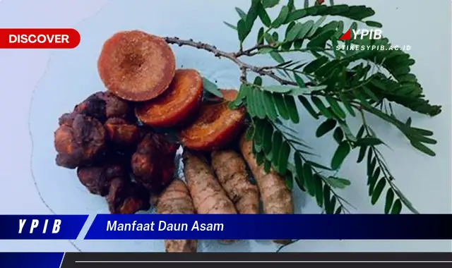 manfaat daun asam