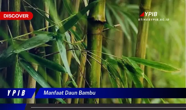 Ketahui 8 Manfaat Daun Bambu untuk Kesehatan Tubuh Anda