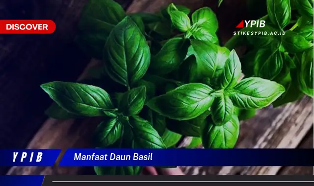 Temukan 7 Manfaat Daun Basil untuk Kesehatan