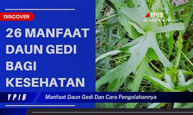 Ketahui 10 Manfaat Daun Gedi untuk Kesehatan dan Cara Mengolahnya dengan Mudah