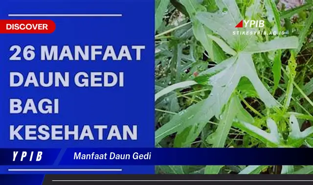 Ketahui 10 Manfaat Daun Gedi untuk Kesehatan Tubuh Anda