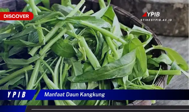 9 Manfaat Daun Kangkung Untuk Kesehatan Anda