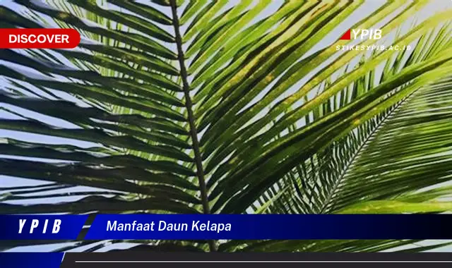 9 Manfaat Daun Kelapa: Keajaiban Alam Untuk Kesehatan & Kehidupan