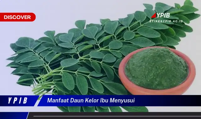 Ketahui 8 Manfaat Daun Kelor untuk Ibu Menyusui, Meningkatkan Kualitas dan Kuantitas ASI