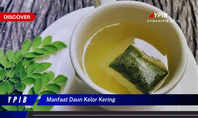 Temukan 5 Manfaat Ajaib Daun Kelor Kering