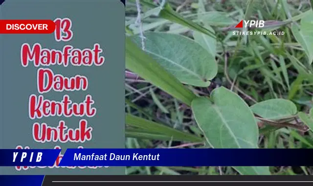 Temukan 5 Manfaat Daun Kentut untuk Kesehatan Anda